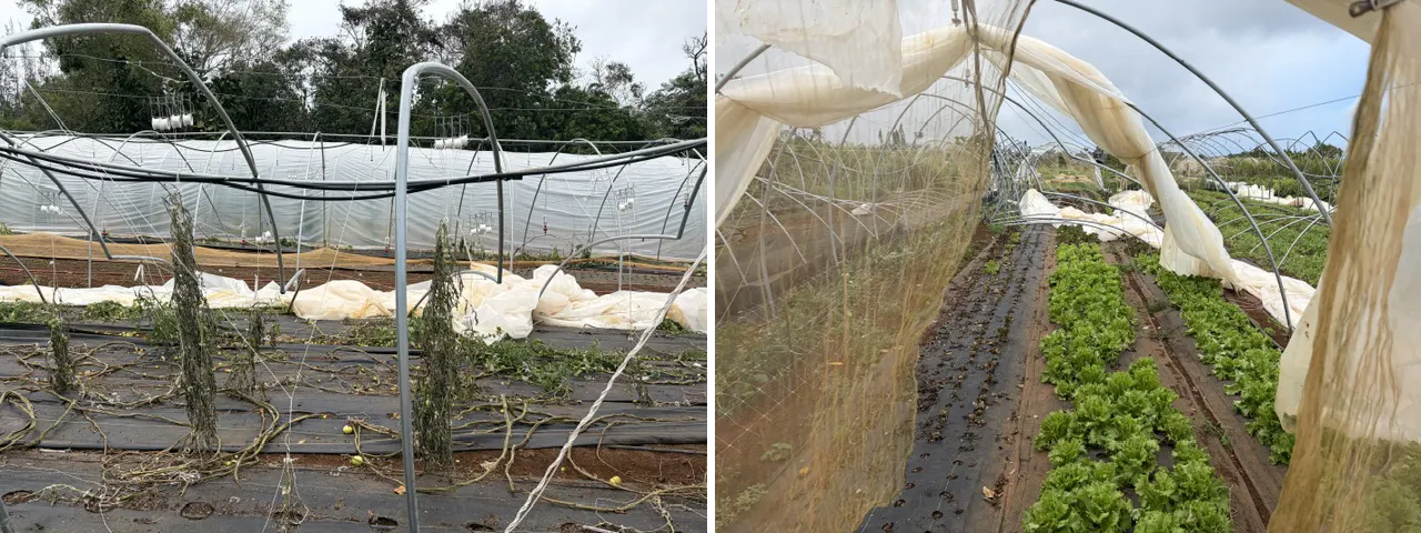 kauai-hurricane-damage-farm-house